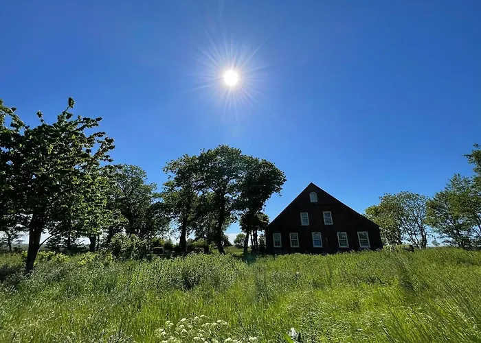 Gulfhof Dreybült Dreybült 1 Levke